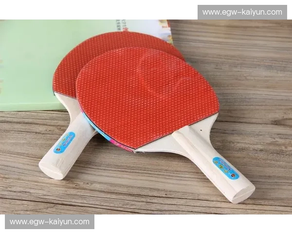 跆拳道乒乓球拍：武动·旋转的新潮运动器材